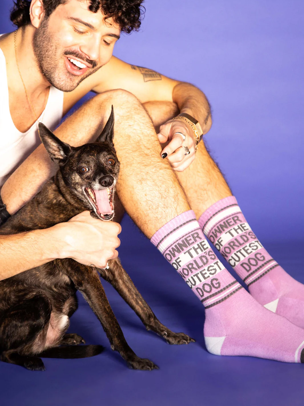 OWNER OF THE WORLD'S CUTEST DOG SOCKS - Image 2