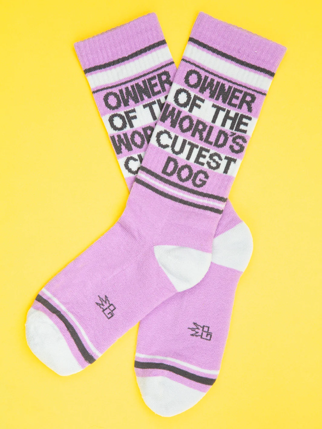 OWNER OF THE WORLD'S CUTEST DOG SOCKS - Image 3