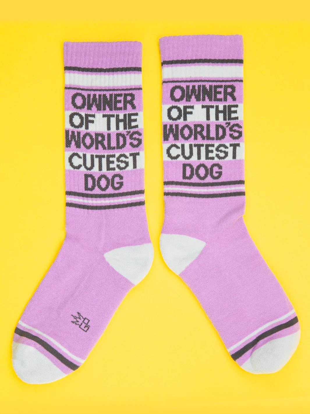 OWNER OF THE WORLD'S CUTEST DOG SOCKS - Image 4
