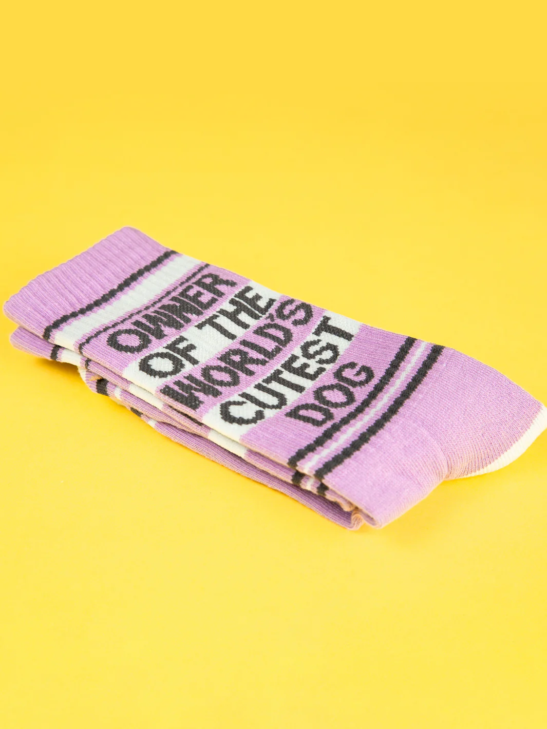 OWNER OF THE WORLD'S CUTEST DOG SOCKS - Image 5